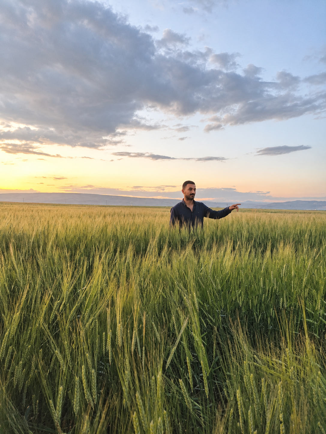 MawGen ATAK wheat field observation