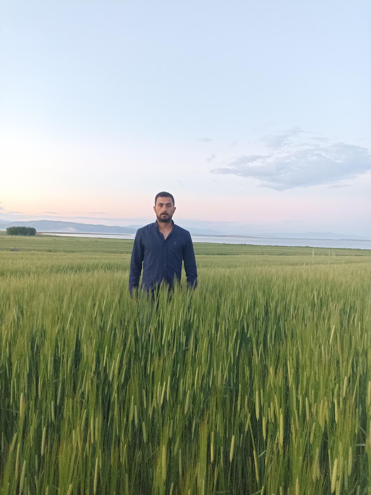MawGen ATAK real wheat field